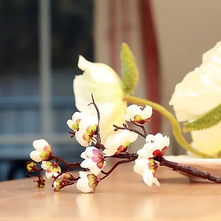 Haus Kranich App 426 Neuhaus (Mecklenburg-Vorpommern)